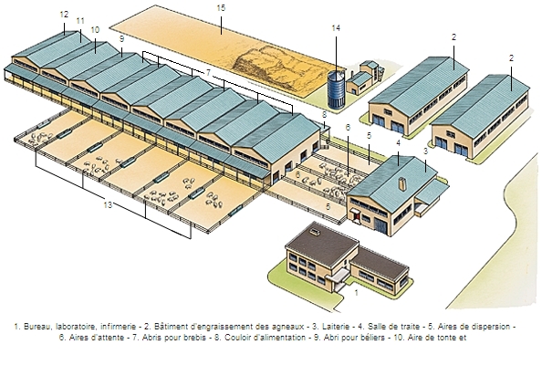 Bergerie Bergerie