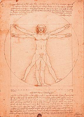 Léonard de Vinci, étude Léonard de Vinci, étude