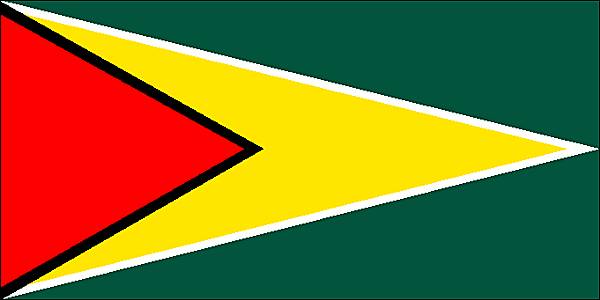 Drapeau du Guyana