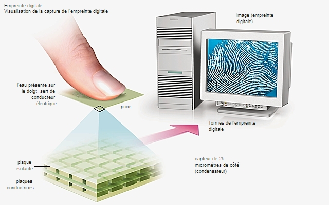 Biométrie, empreinte digitale Biométrie, empreinte digitale