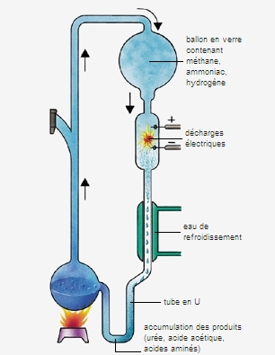L'origine chimique de la vie L'origine chimique de la vie