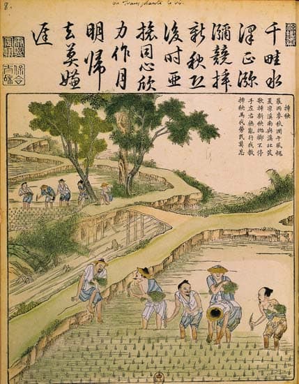 Repiquage du riz en Chine Repiquage du riz en Chine