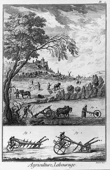 Planche extraite de l'Encyclopédie : agriculture et labourage Planche extraite de l'Encyclopédie : agriculture et labourage