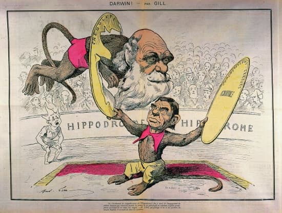 Caricature de Darwin et Littré par Gill. Caricature de Darwin et Littré par Gill.