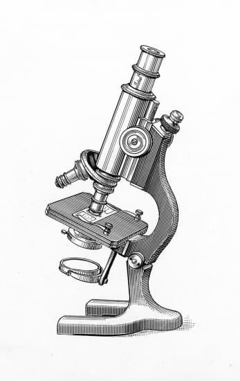 Microscope optique Microscope optique