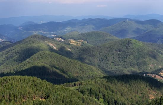 Voix bulgares Voix bulgares