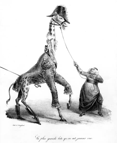 La plus grande bête qu'on ait jamais vue La plus grande bête qu'on ait jamais vue