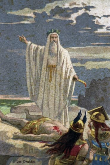 Druide avec sa serpe d'or Druide avec sa serpe d'or