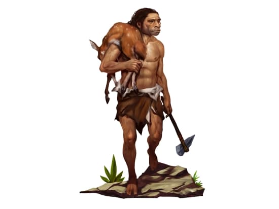 Homme de Neandertal Homme de Neandertal