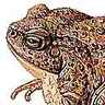 Crapaud