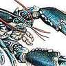 Homard