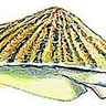 Patelle