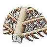Plume tectrice Plume tectrice