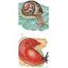 Gastropodes marins et terrestres