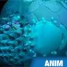 Cellule animale