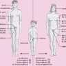 caractères sexuels caractères sexuels