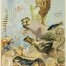 Végétaux et animaux de surface des océans.