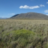 Pampa