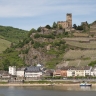 Rhin