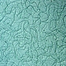 Cyanobactéries